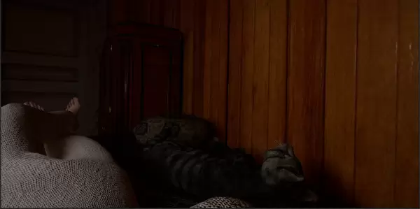 ss_b2480851830863fcf8069d53080f5b59d467ffb1.600x338.jpg