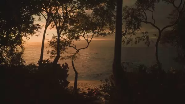ss_326ac9ae793d8c197901dbfd65fff24013927a73.600x338.jpg